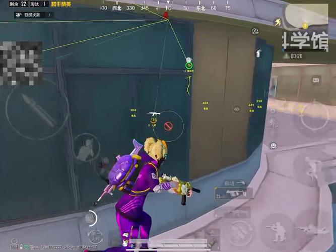 和平精英【雪儿内核】辅助